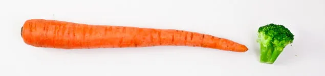 vejeteryan